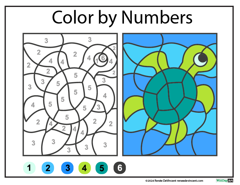 A color by numbers worksheet with a turtle on it