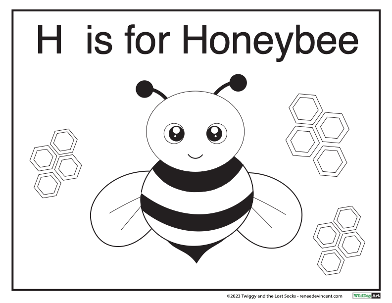 H is for honeybee coloring page with a bee and honeycombs.