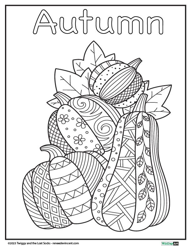 A black and white coloring page of autumn pumpkins with leaves.