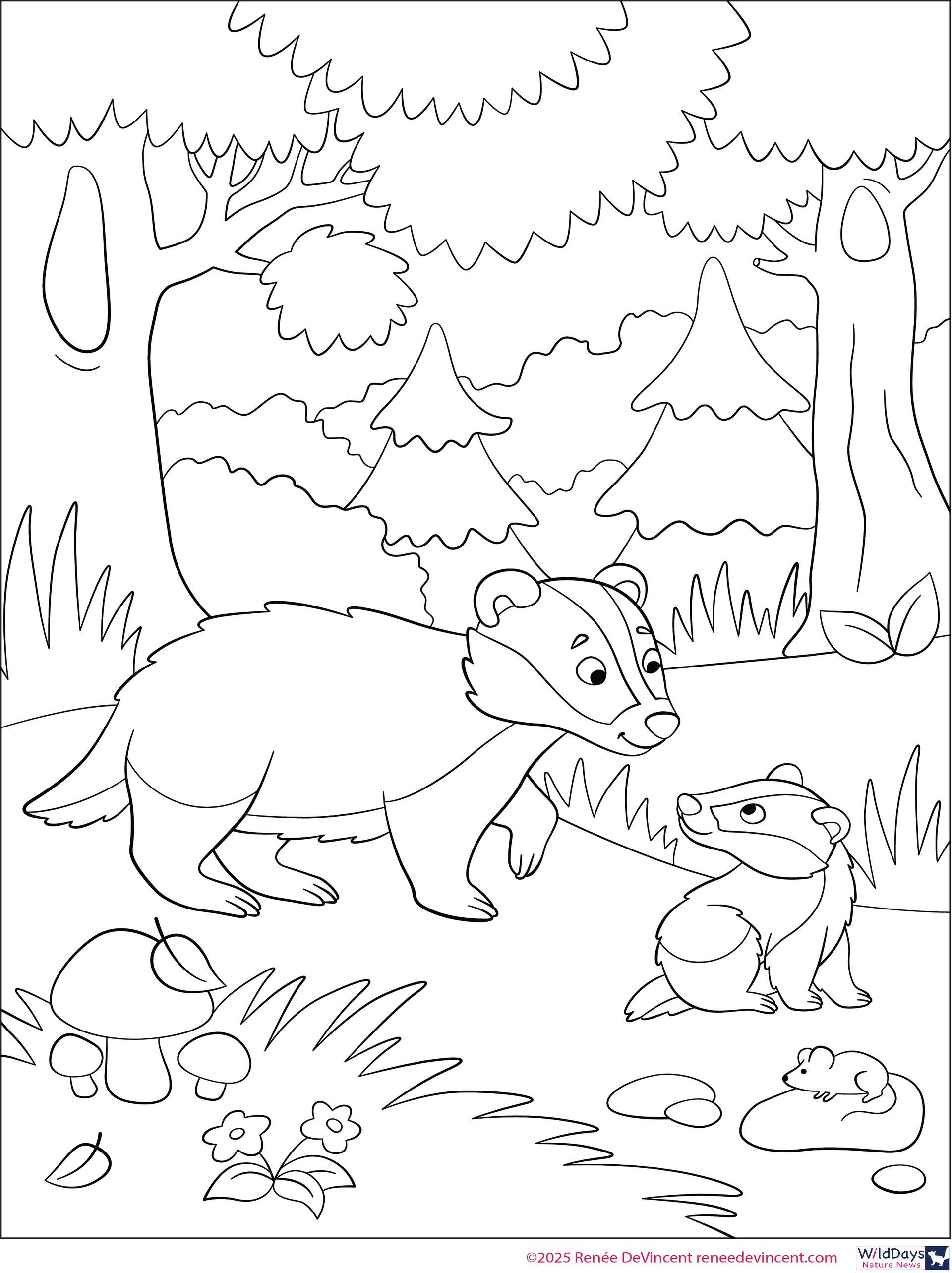 A black and white drawing of a dog and a frog in a forest.