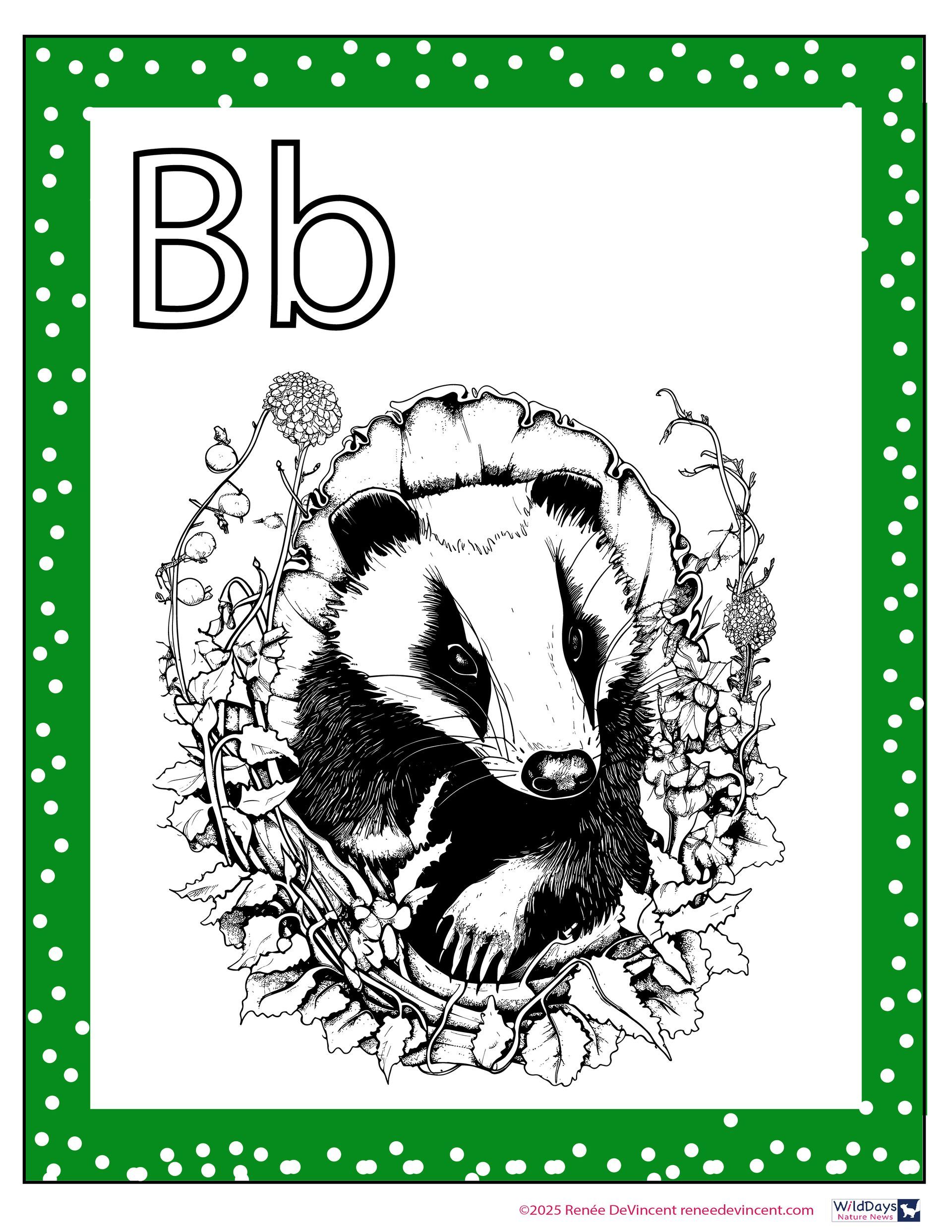 A black and white drawing of a badger with the letter b on it.
