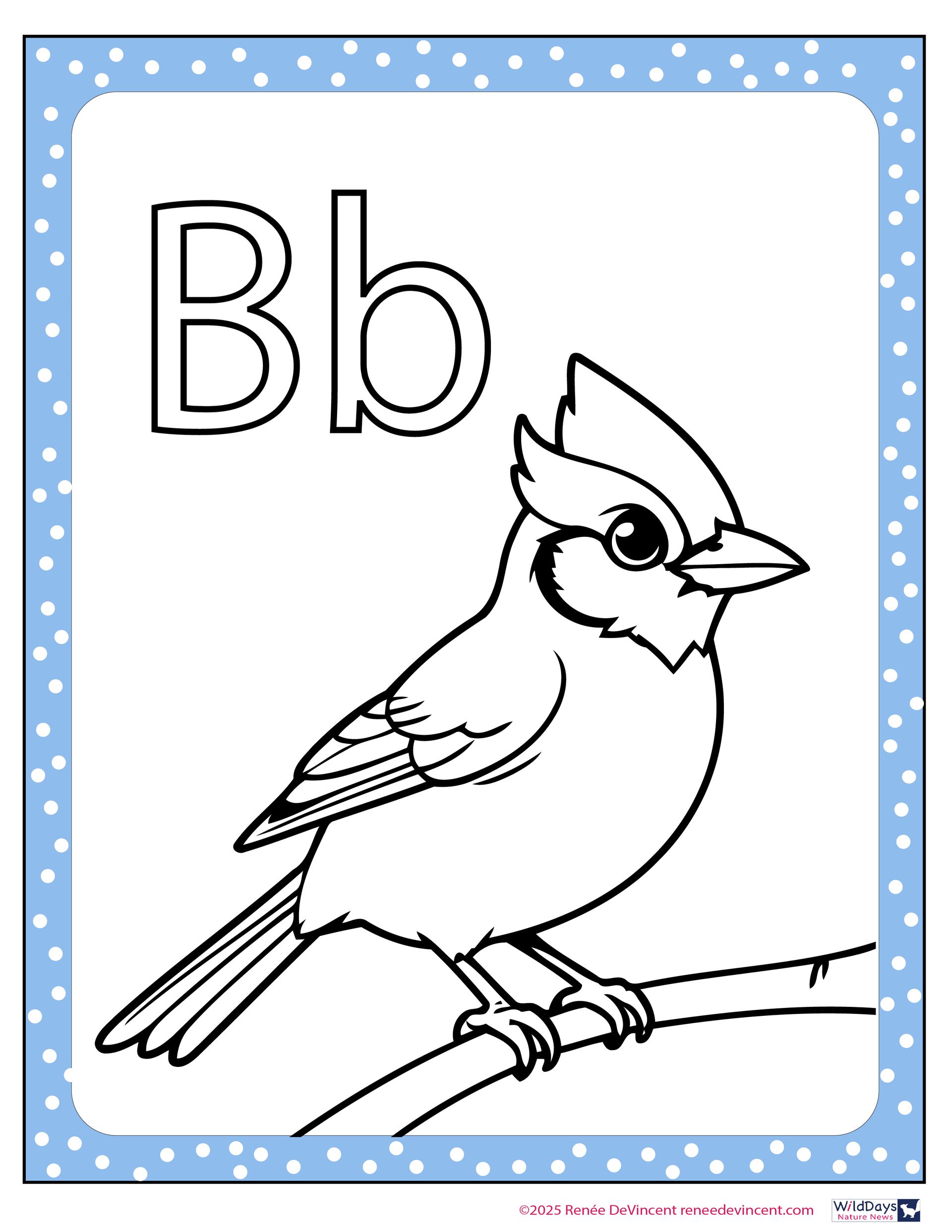 A black and white drawing of a bird with the letter b on it