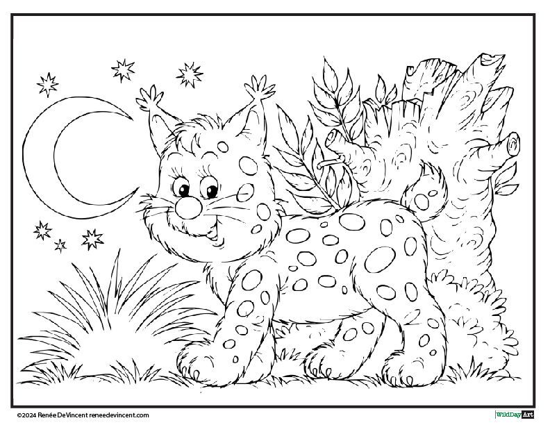 A coloring page of a bobcat standing in the grass.