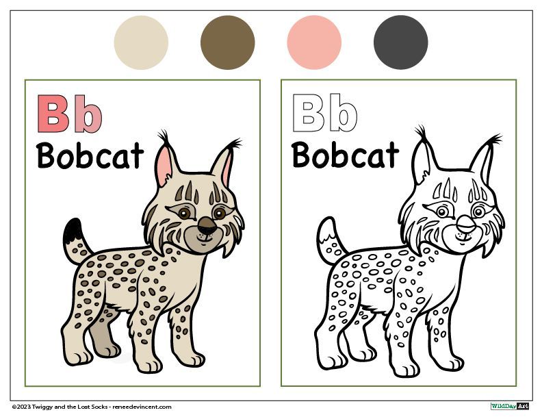 Bobcat Coloring Page