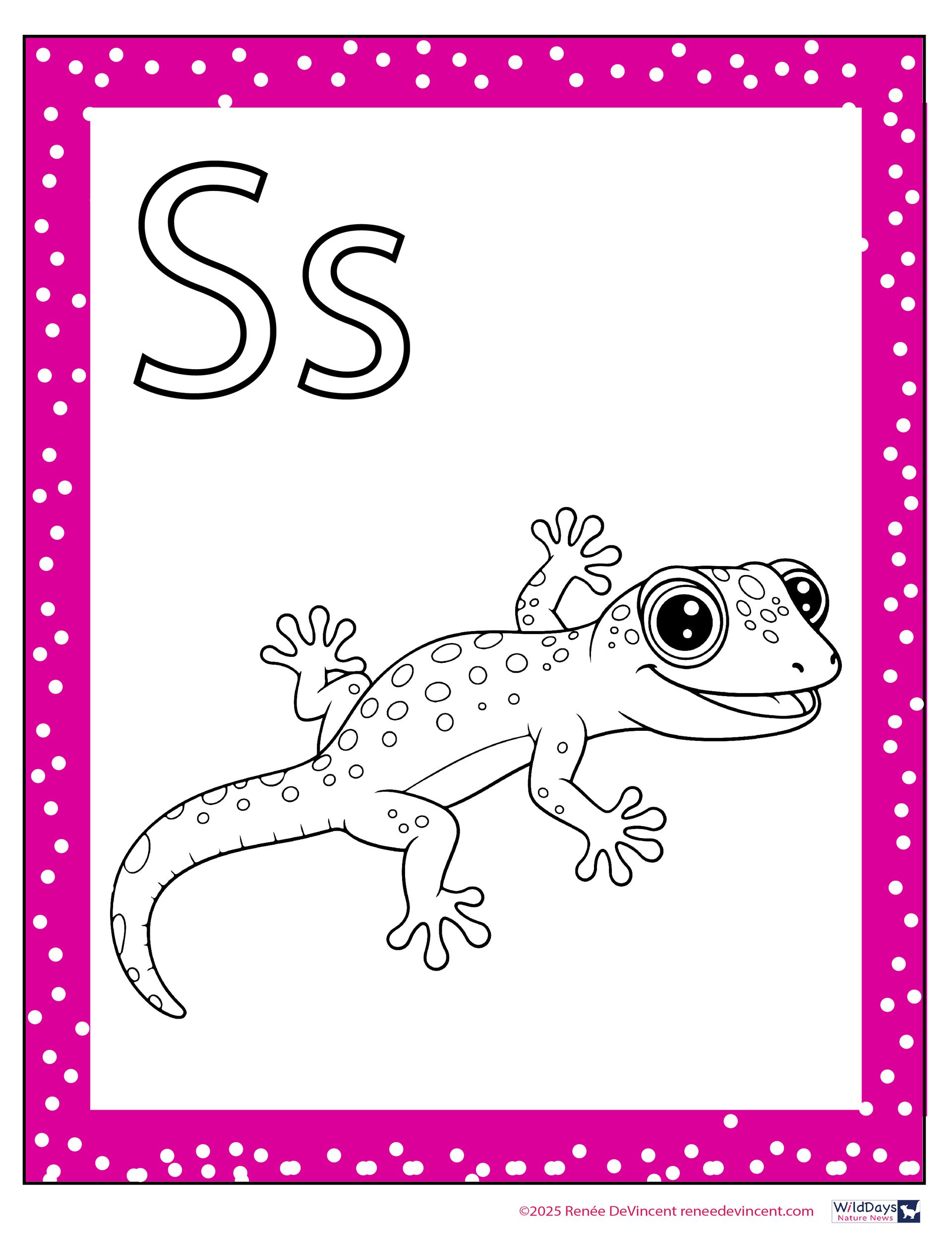 A black and white drawing of a lizard with the letter s on it.