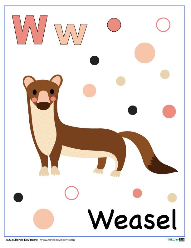 A picture of a weasel with the letter w on it