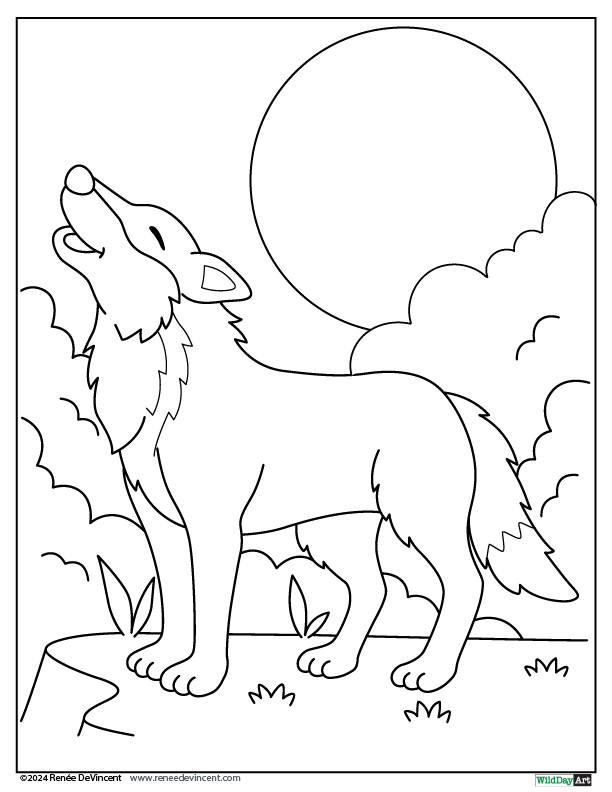 A black and white drawing of a wolf howling at the moon.