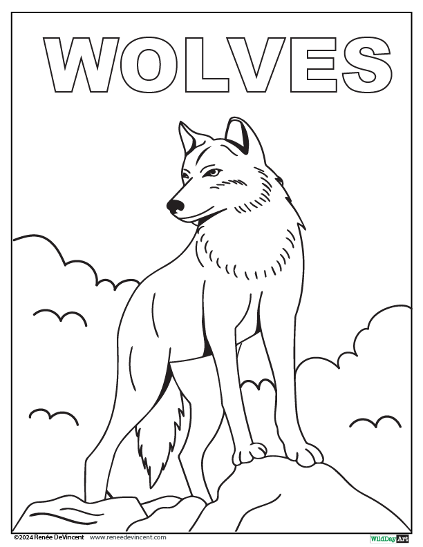 A black and white drawing of a wolf standing on top of a rock.