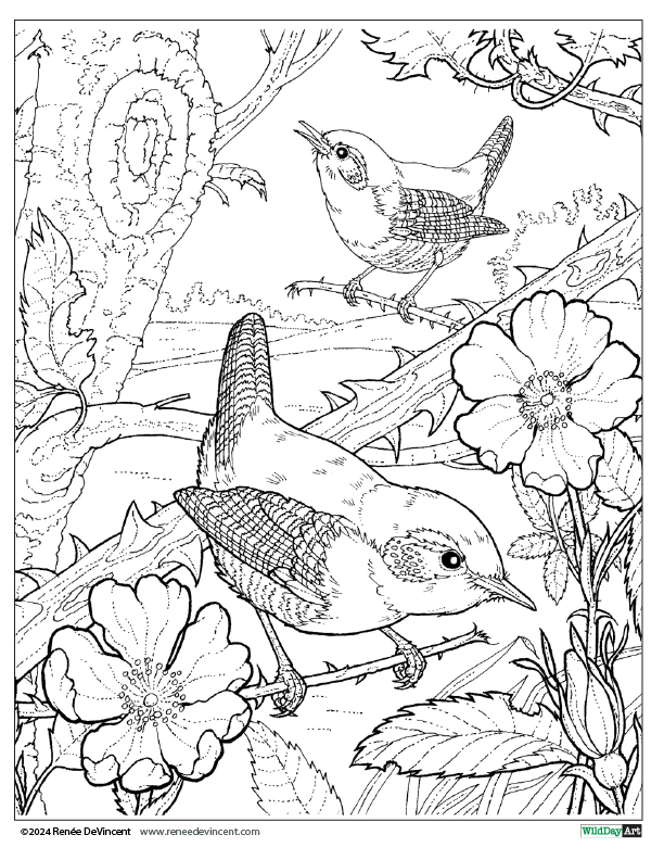 A black and white drawing of two birds sitting on a branch.