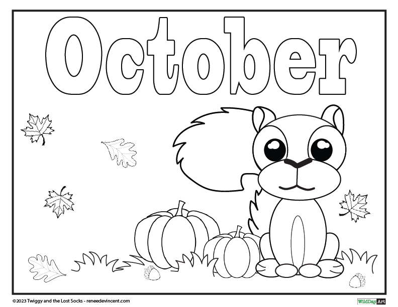 A black and white drawing of a squirrel sitting next to pumpkins and leaves.