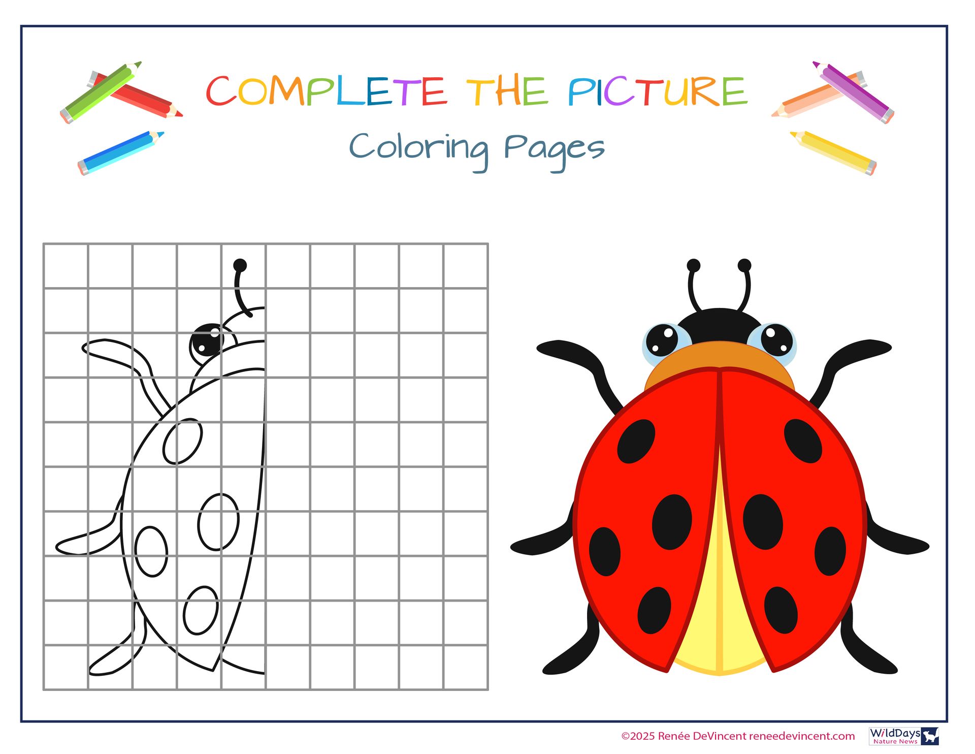 A ladybug is being drawn on a grid with colored pencils.