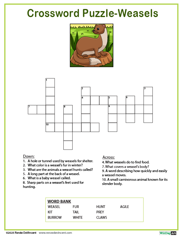 A crossword puzzle with a picture of a weasel on it.