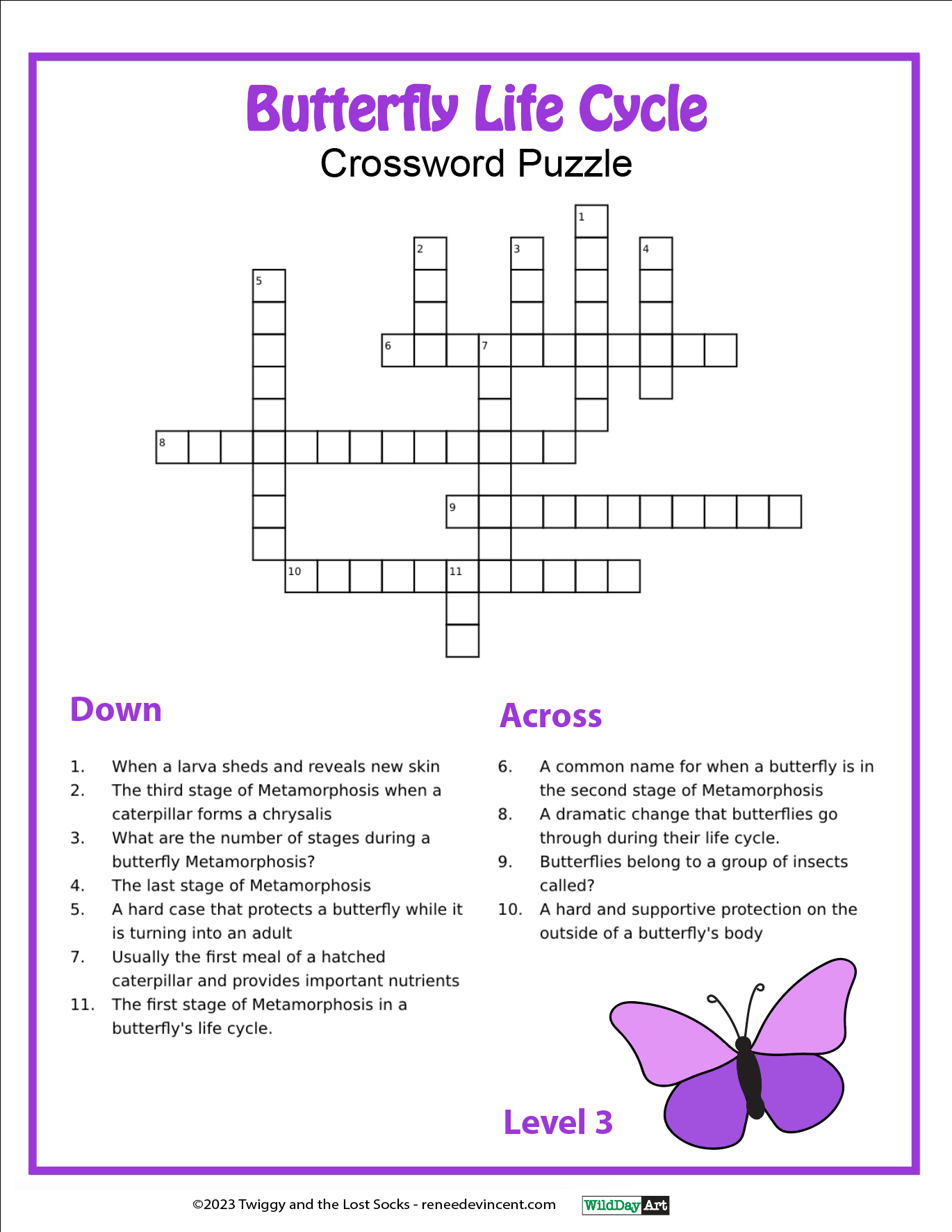 A butterfly life cycle crossword puzzle with a purple butterfly on it.