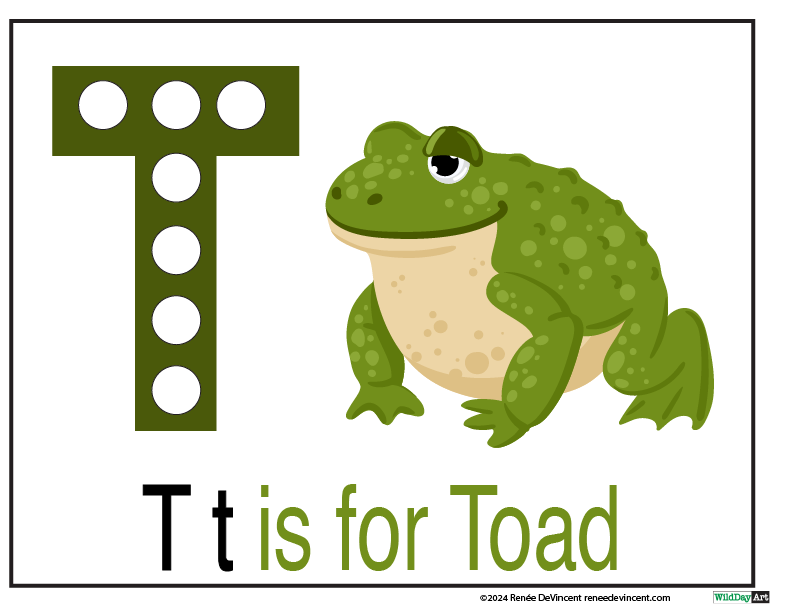 The letter t is for toad with a picture of a frog.