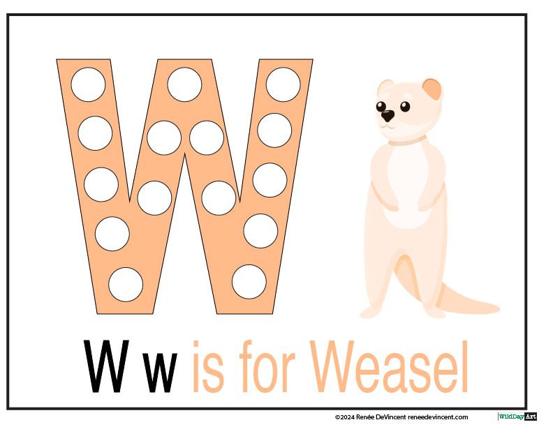 The letter w is for weasel with a picture of a weasel.