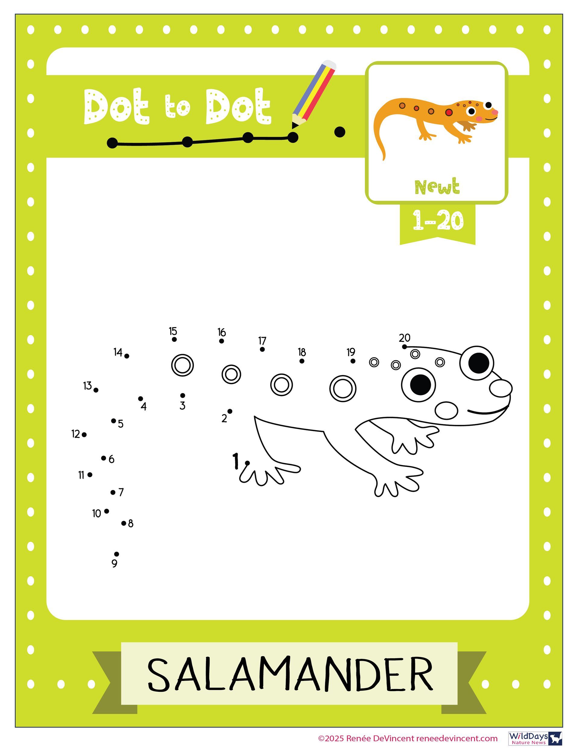 A letter s worksheet with a salamander on it.
