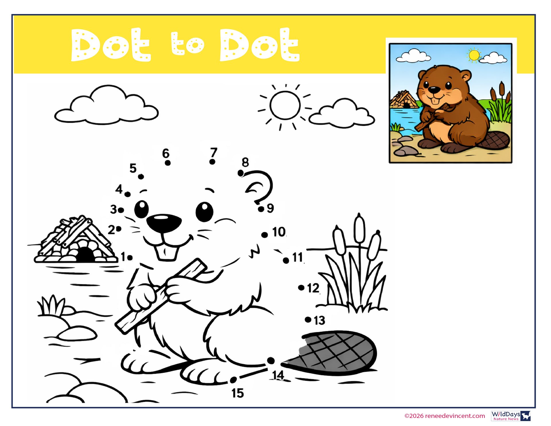 Dot-to-dot puzzle of a beaver holding a stick, with a small house, sun, and reeds; solution in color preview.
