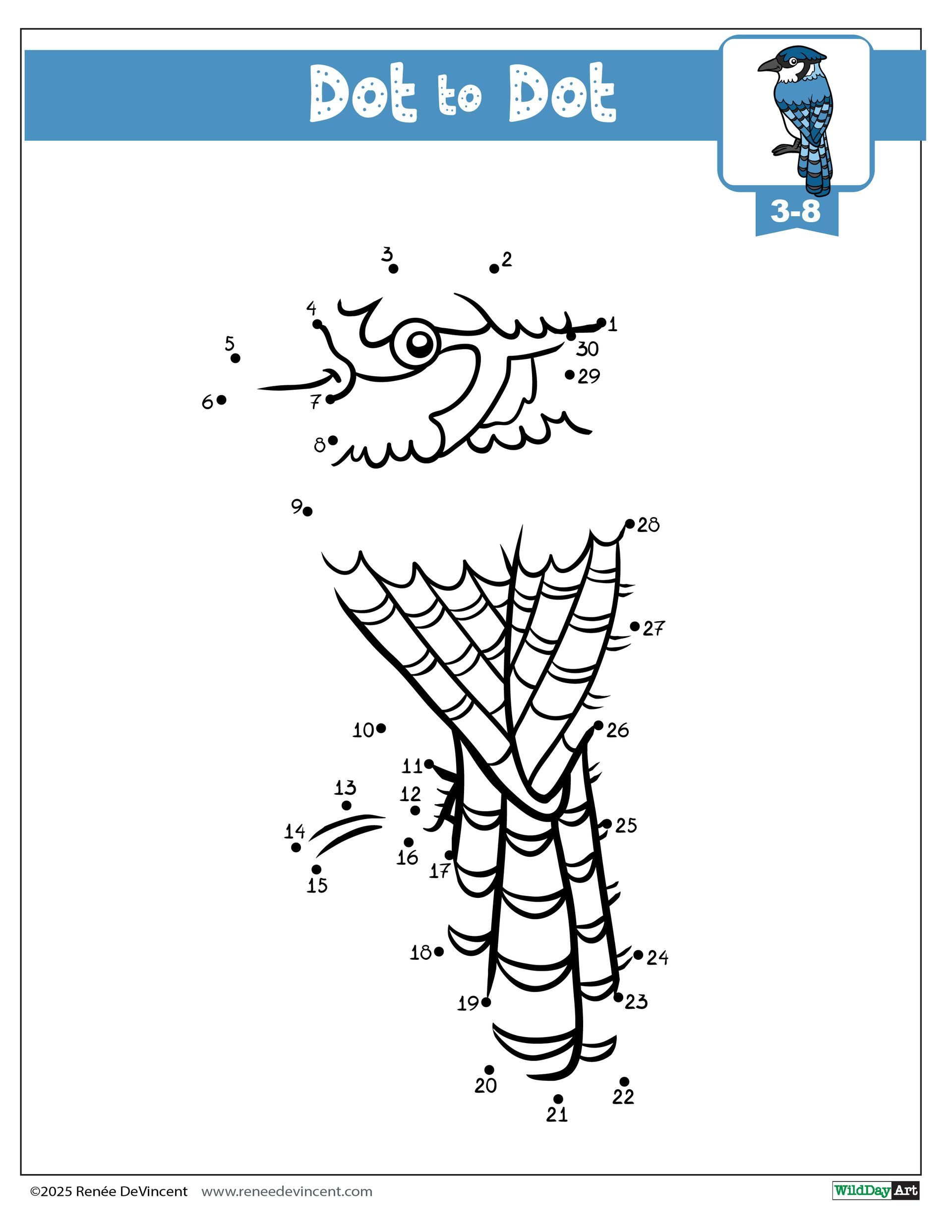 A dot to dot worksheet with a picture of a bamboo tree and a bird.