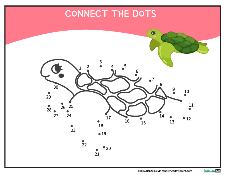 Connect the dots to draw a turtle on a pink background.