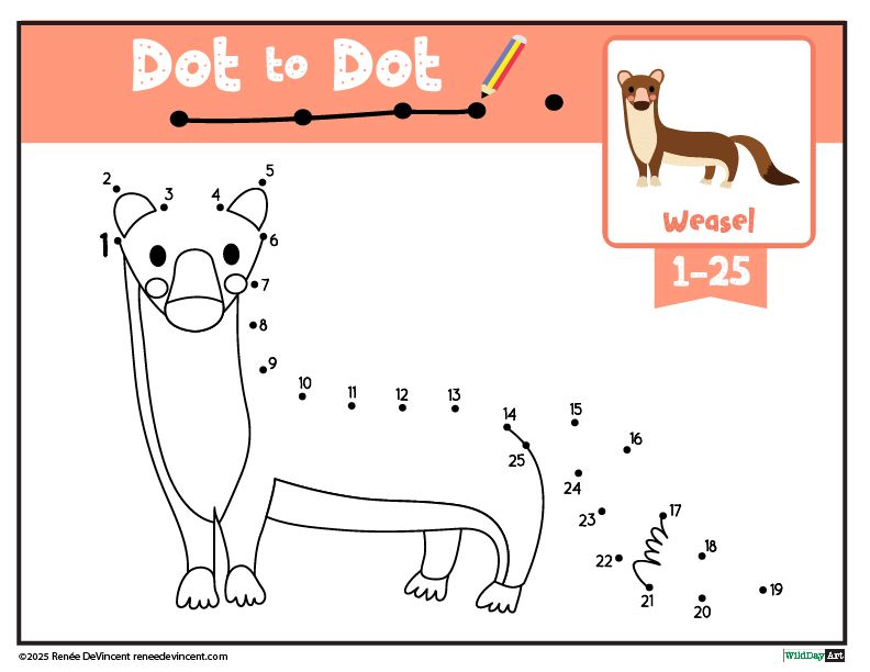 A weasel is on a dot to dot worksheet.