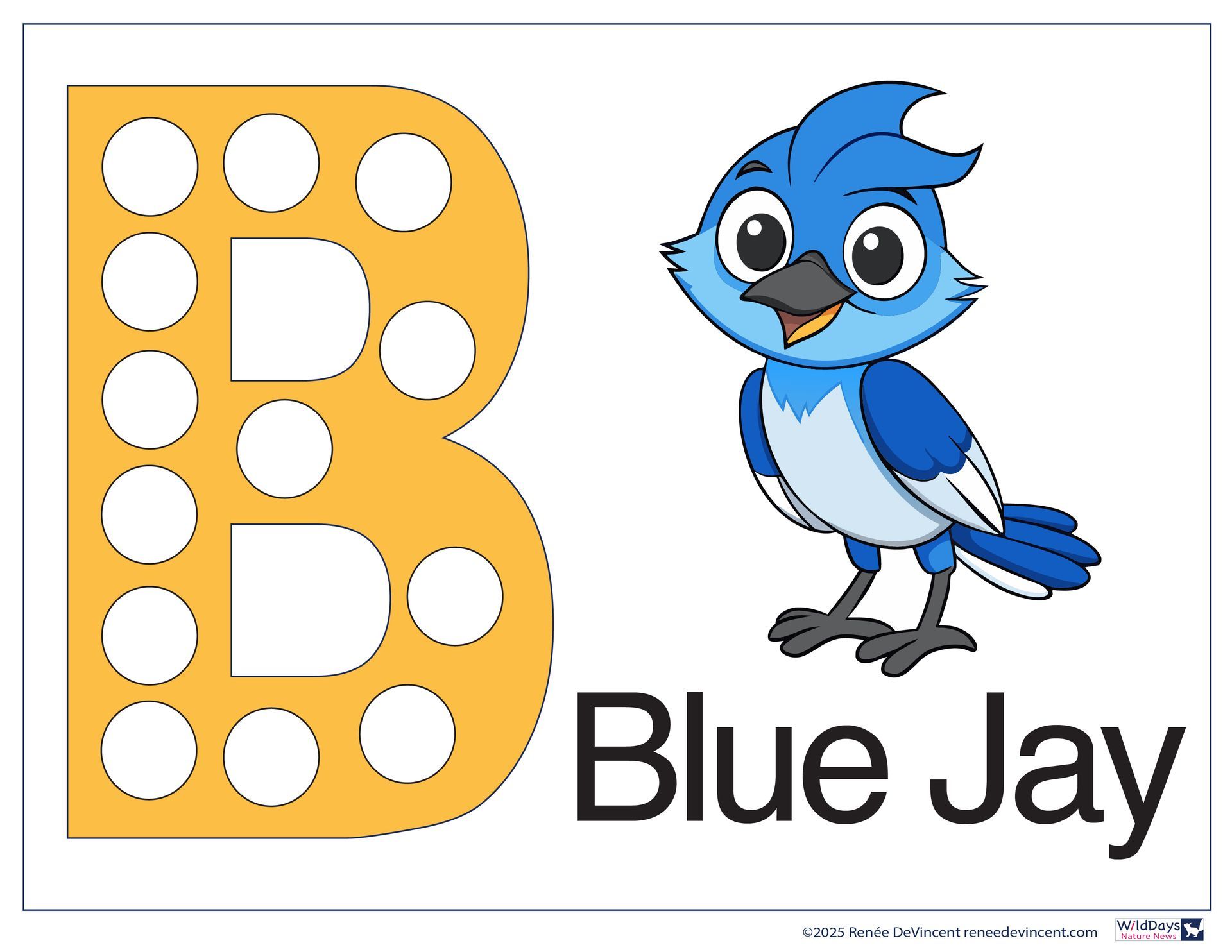 A blue jay is standing next to a yellow letter b.