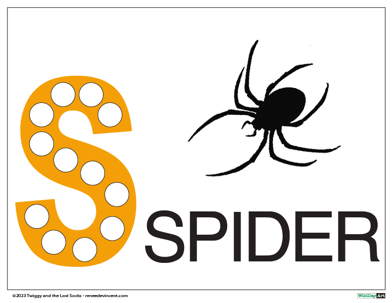 A picture of a letter s and a spider on a white background.