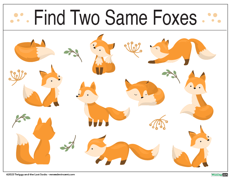 A poster that says find two same foxes on it