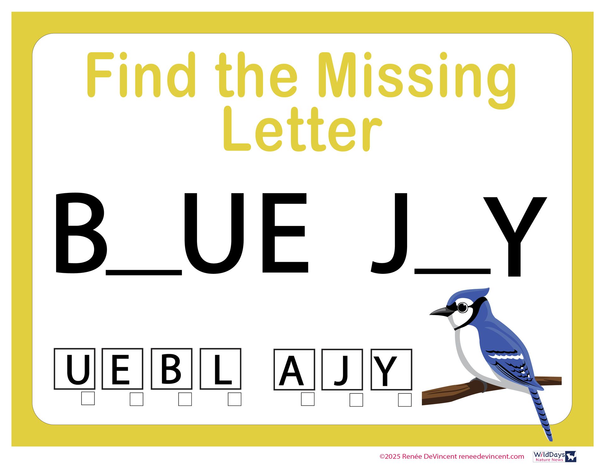 A blue jay is sitting on a branch with the letter b missing.