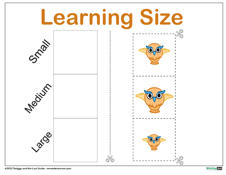 A learning size chart with three owls on it