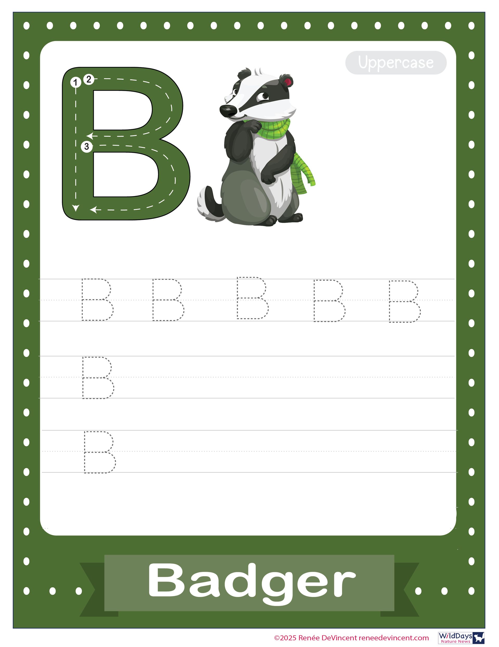 A badger wearing a green scarf is standing next to a letter b.