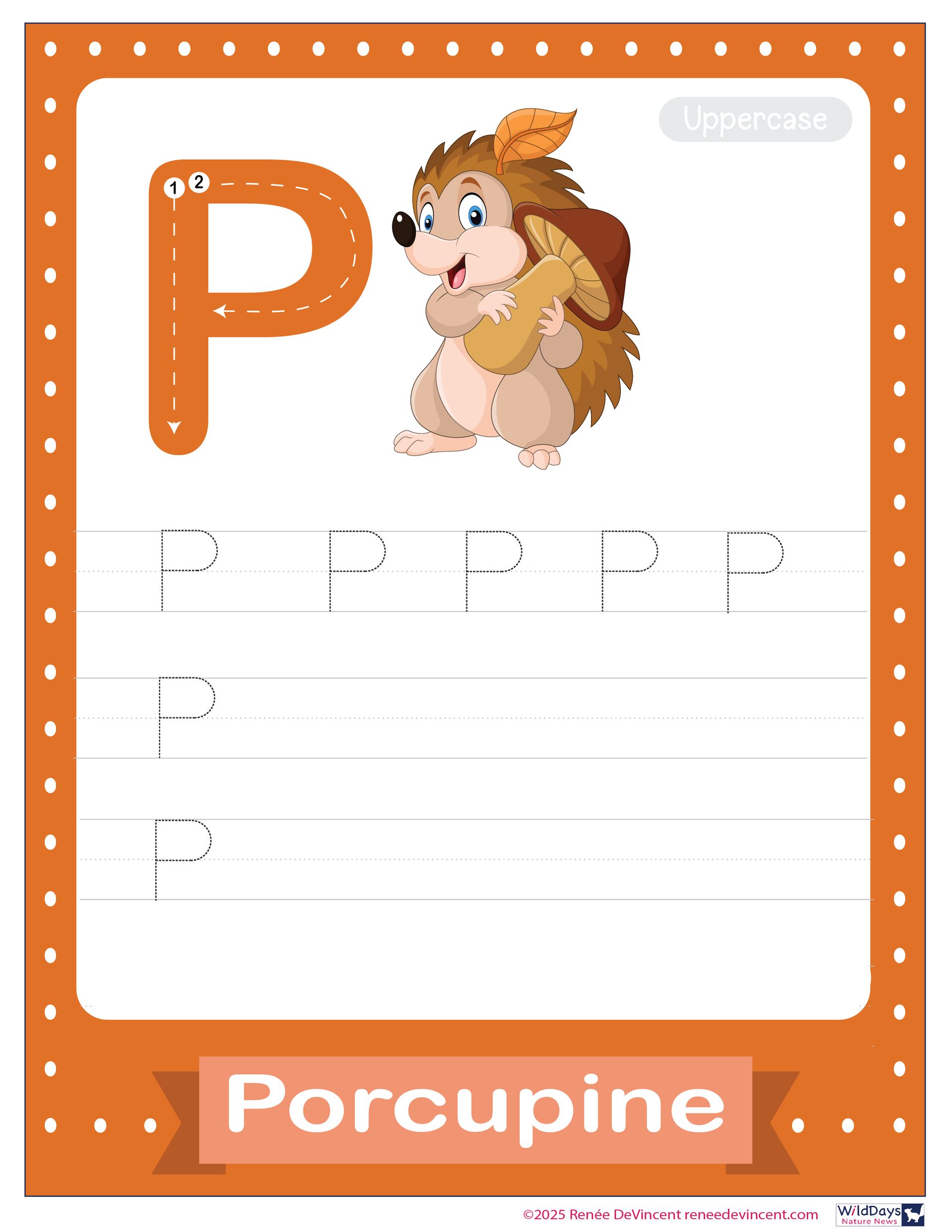 Orange educational poster with the letter