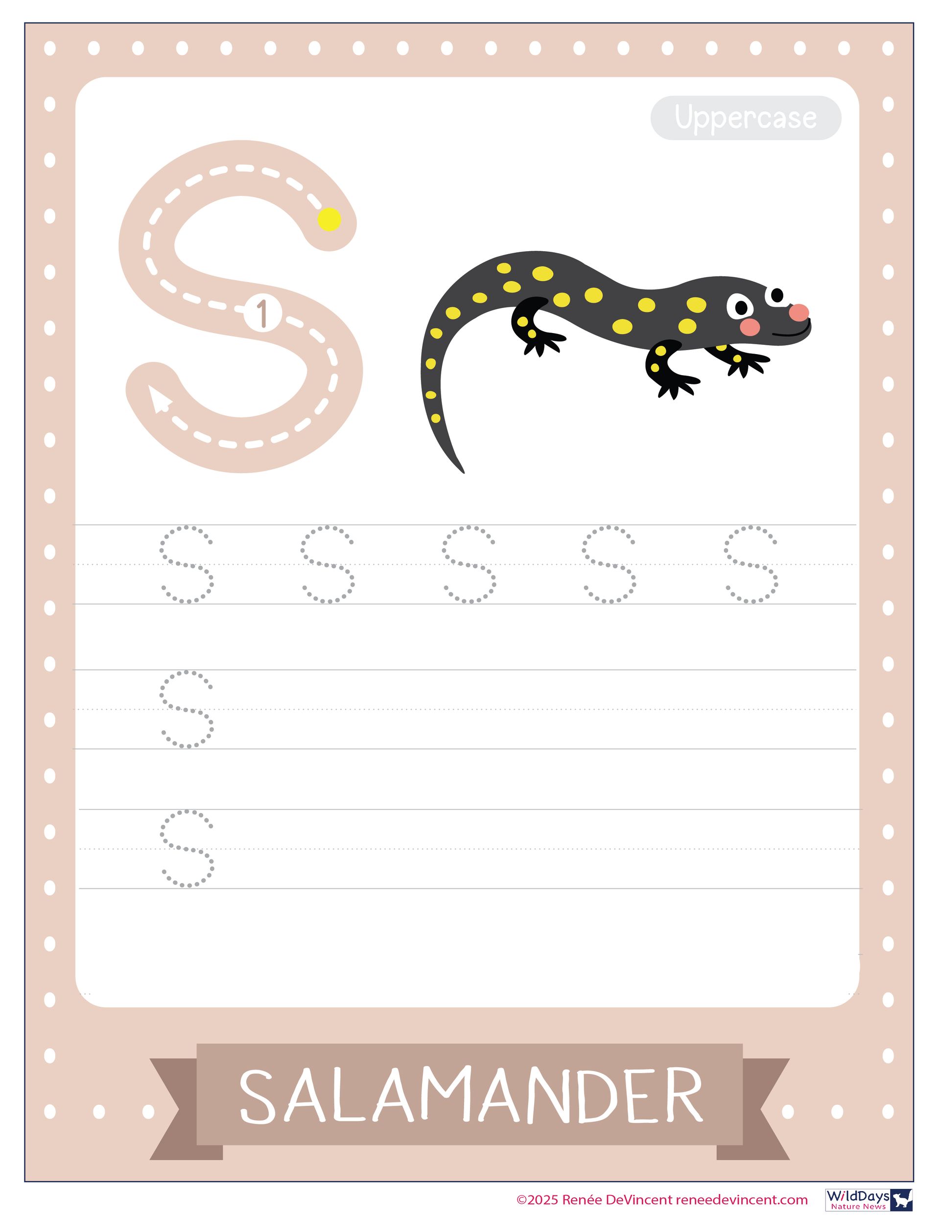 Hedgehog in a bed of flowers, with detailed textures and shading, in a natural outdoor setting.