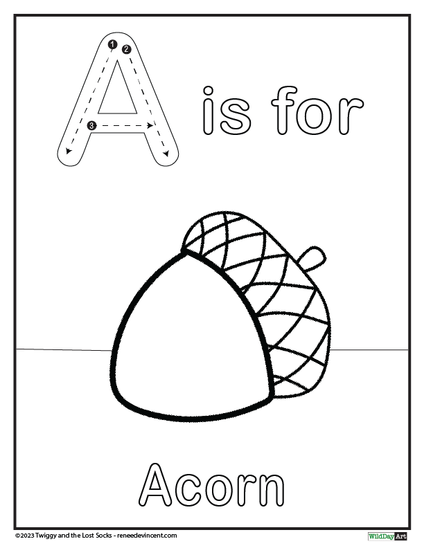 A is for acorn coloring page for kids