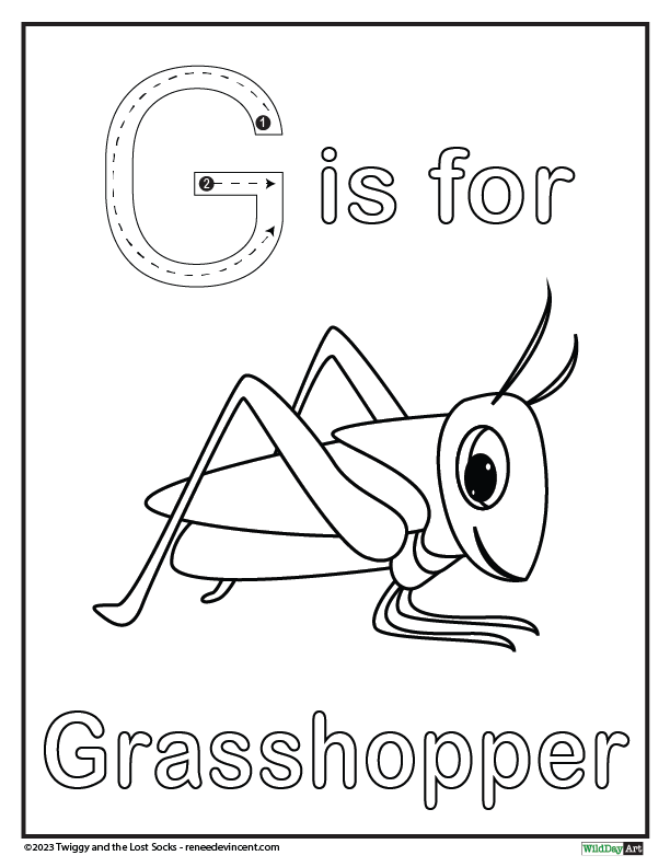 G is for grasshopper coloring page for kids