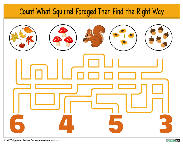 A maze that says count what squirrel foraged then find the right way