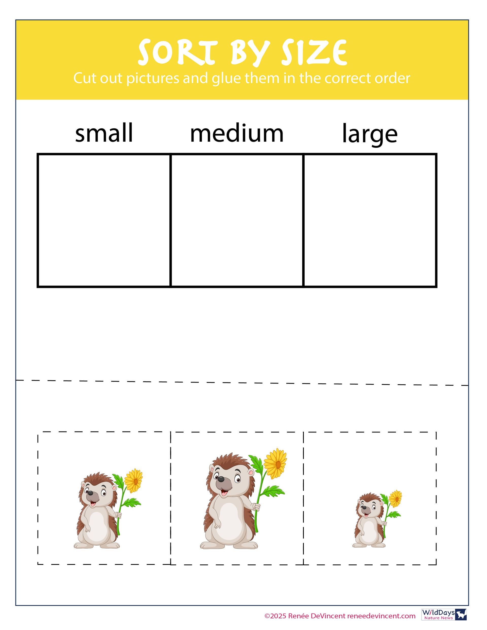 Sort by size worksheet. Cut and glue hedgehog pictures into small, medium, and large categories.
