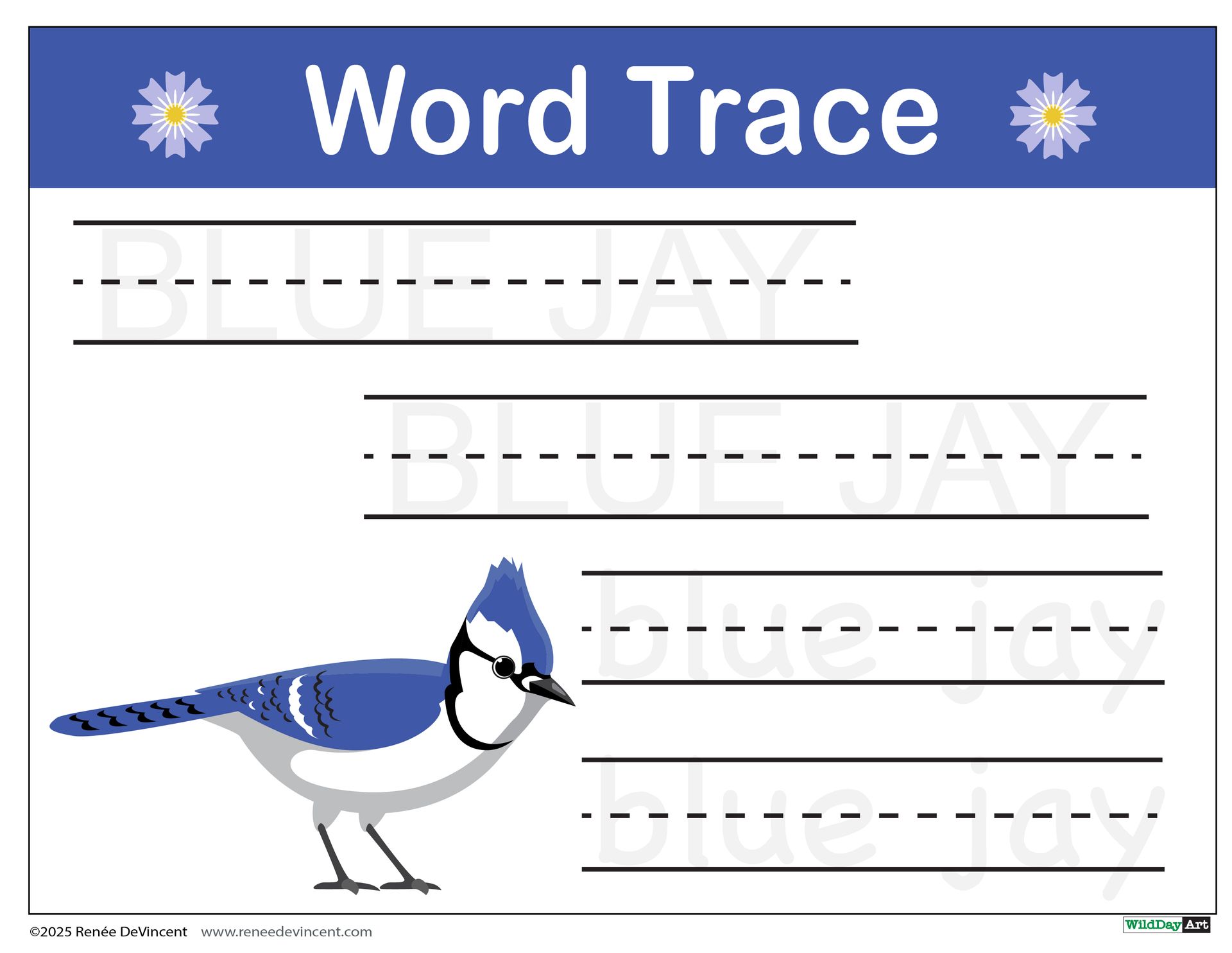 A blue jay is on a word trace worksheet.