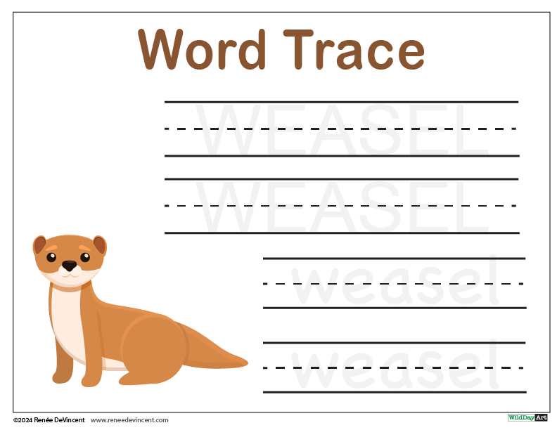 A word trace worksheet with a weasel on it