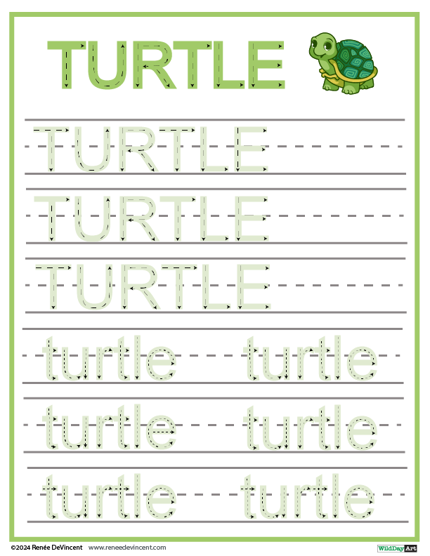 A worksheet with the word turtle written on it.