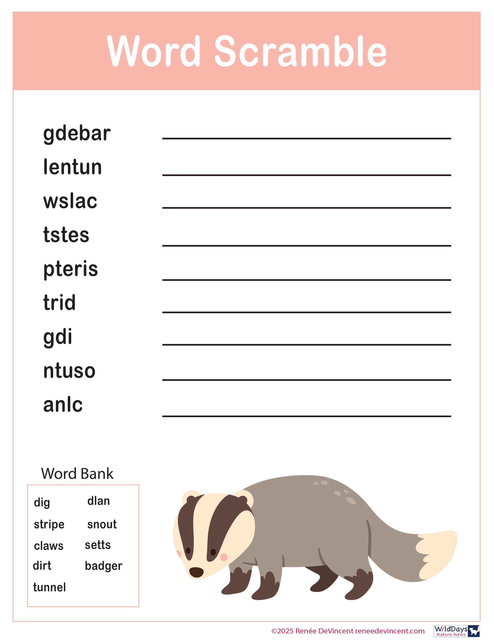 A word scramble worksheet with a badger on it.