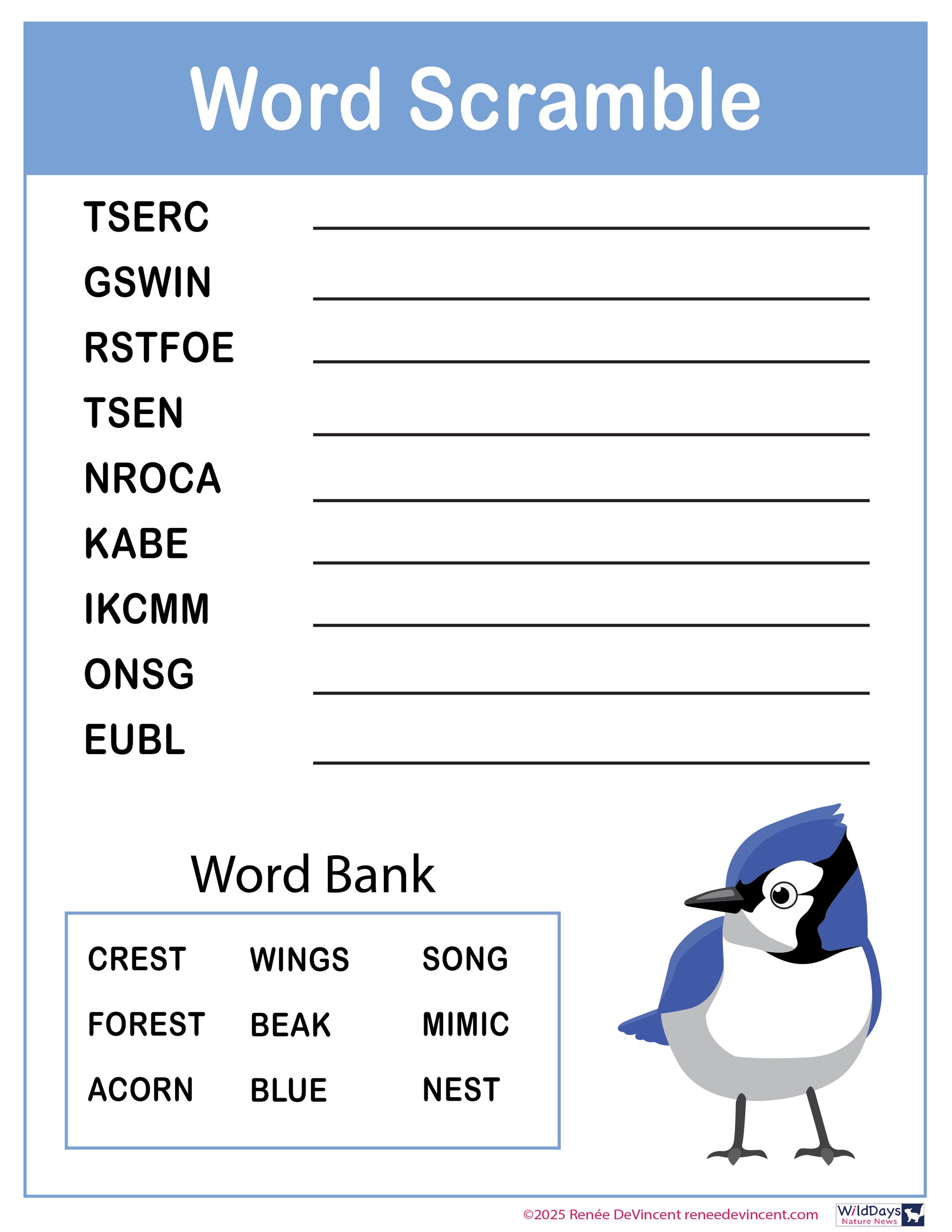 A blue jay is on a word scramble worksheet.