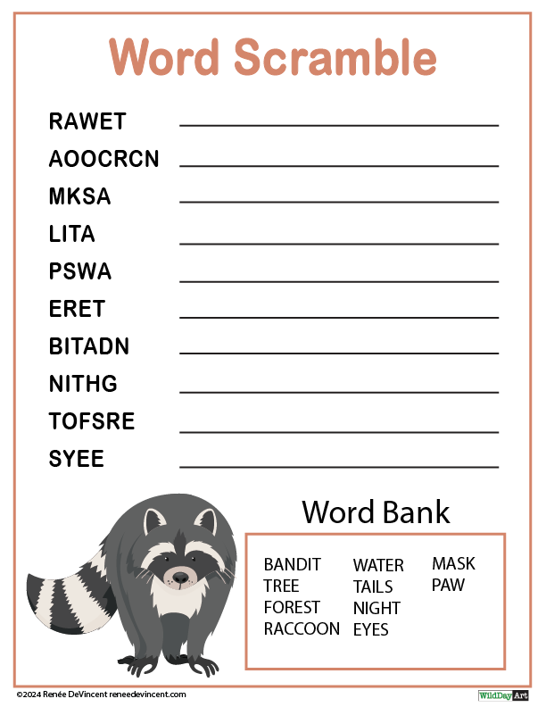 A word scramble worksheet with a raccoon on it.