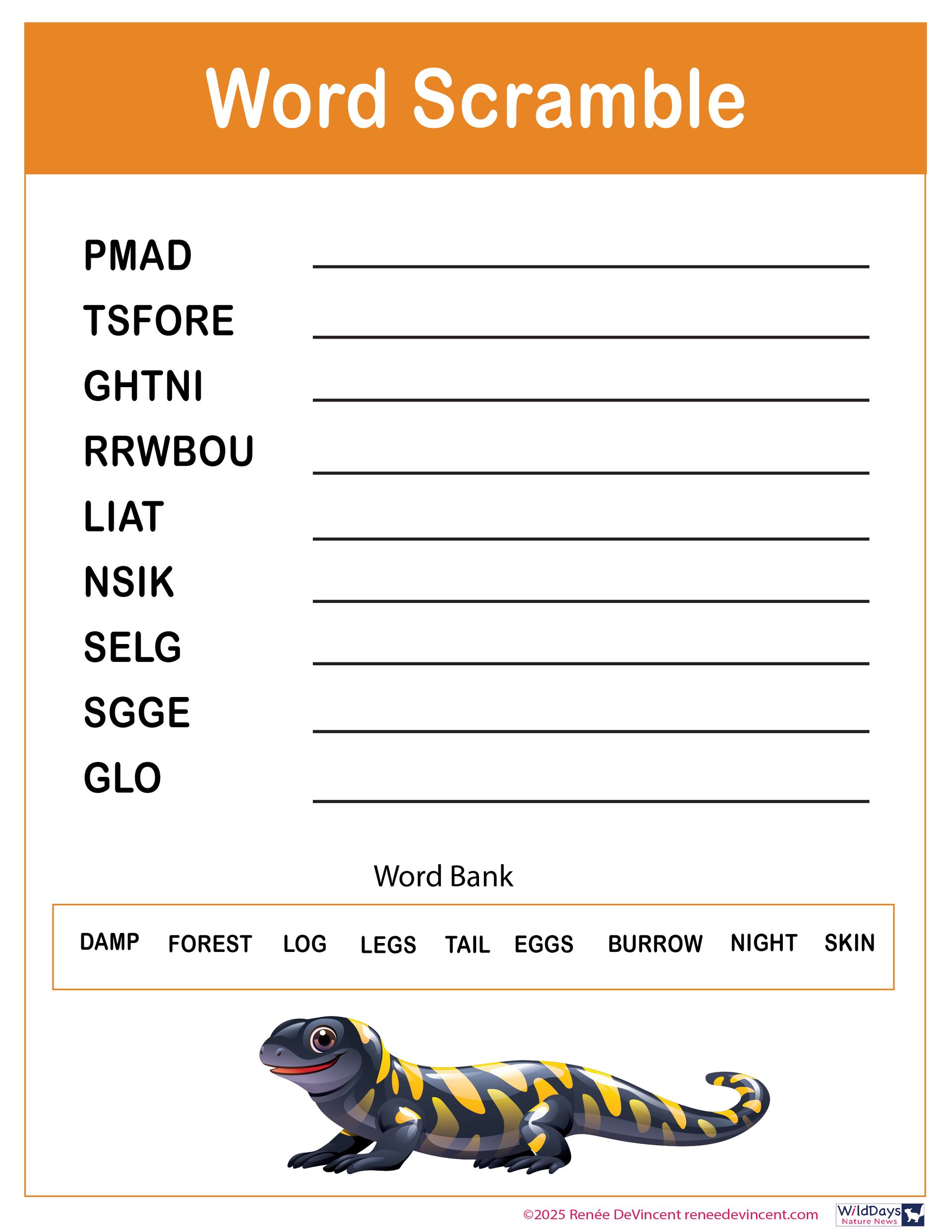 A word scramble worksheet with a picture of a salamander on it.