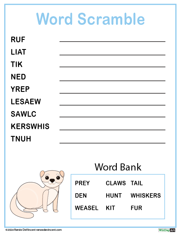 A word scramble worksheet with a picture of a weasel on it.