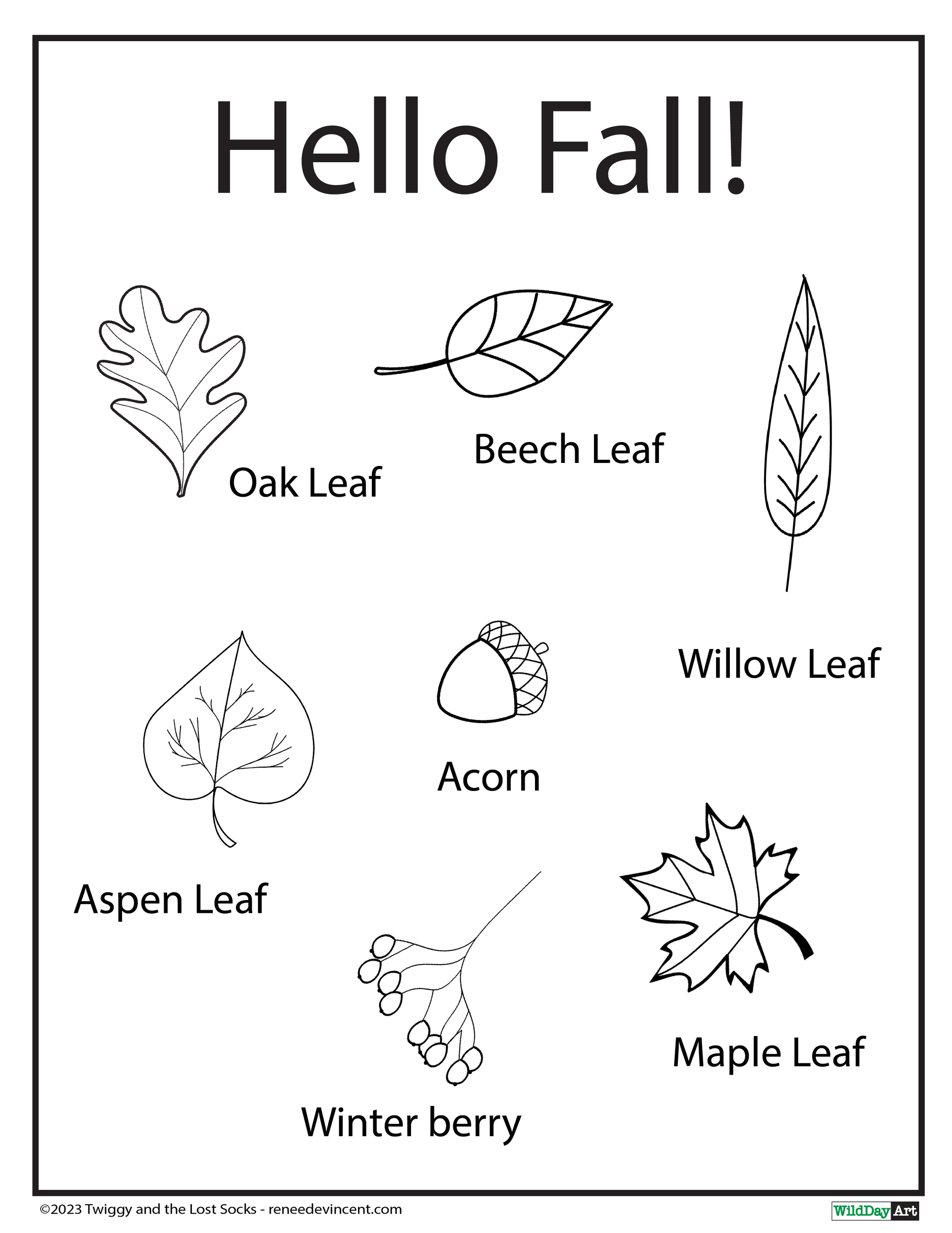 There are many different types of leaves in this coloring page.