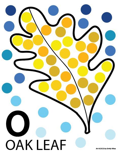 A drawing of an oak leaf with the letter o on it