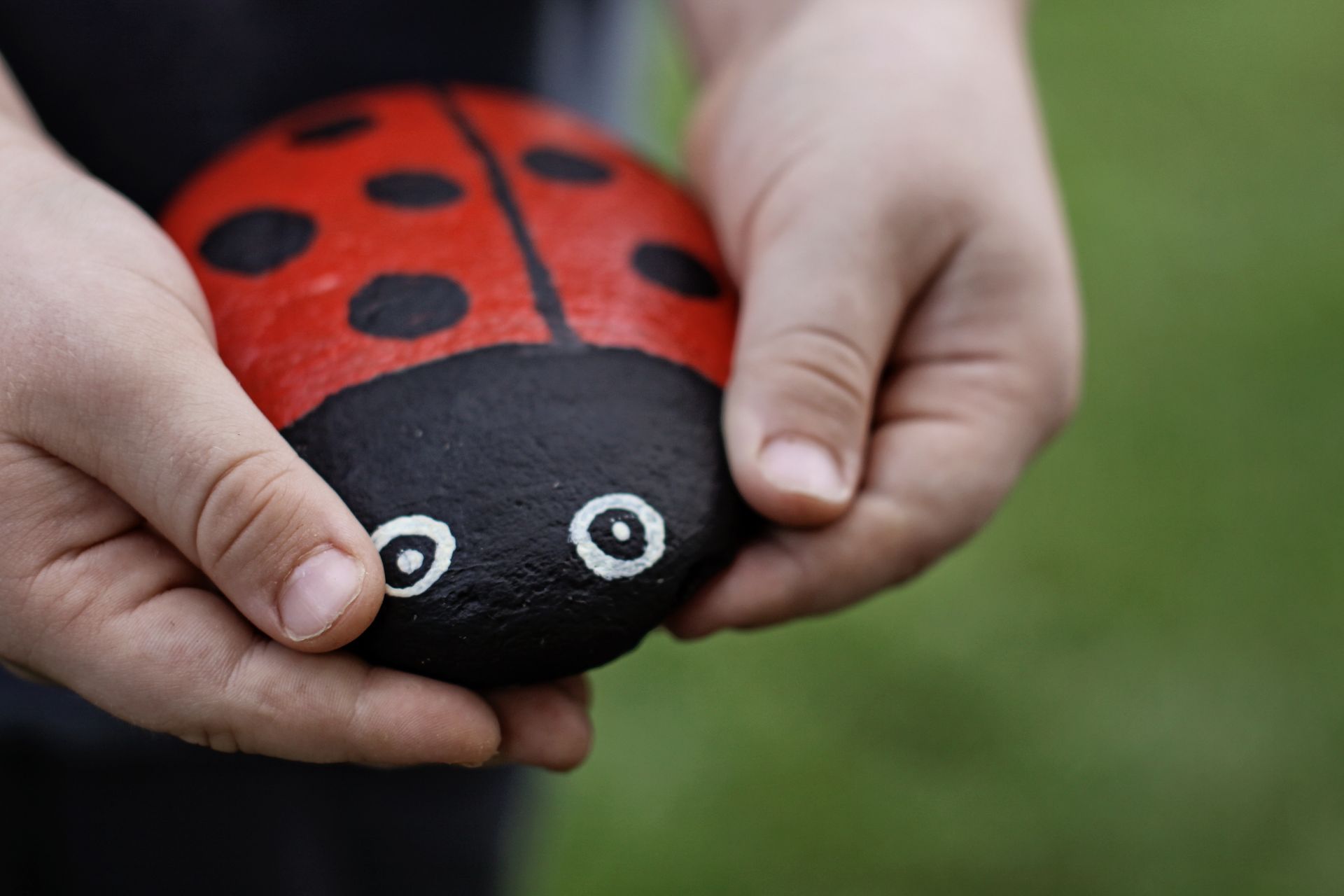A person is holding a ladybug painted rock in their hands.