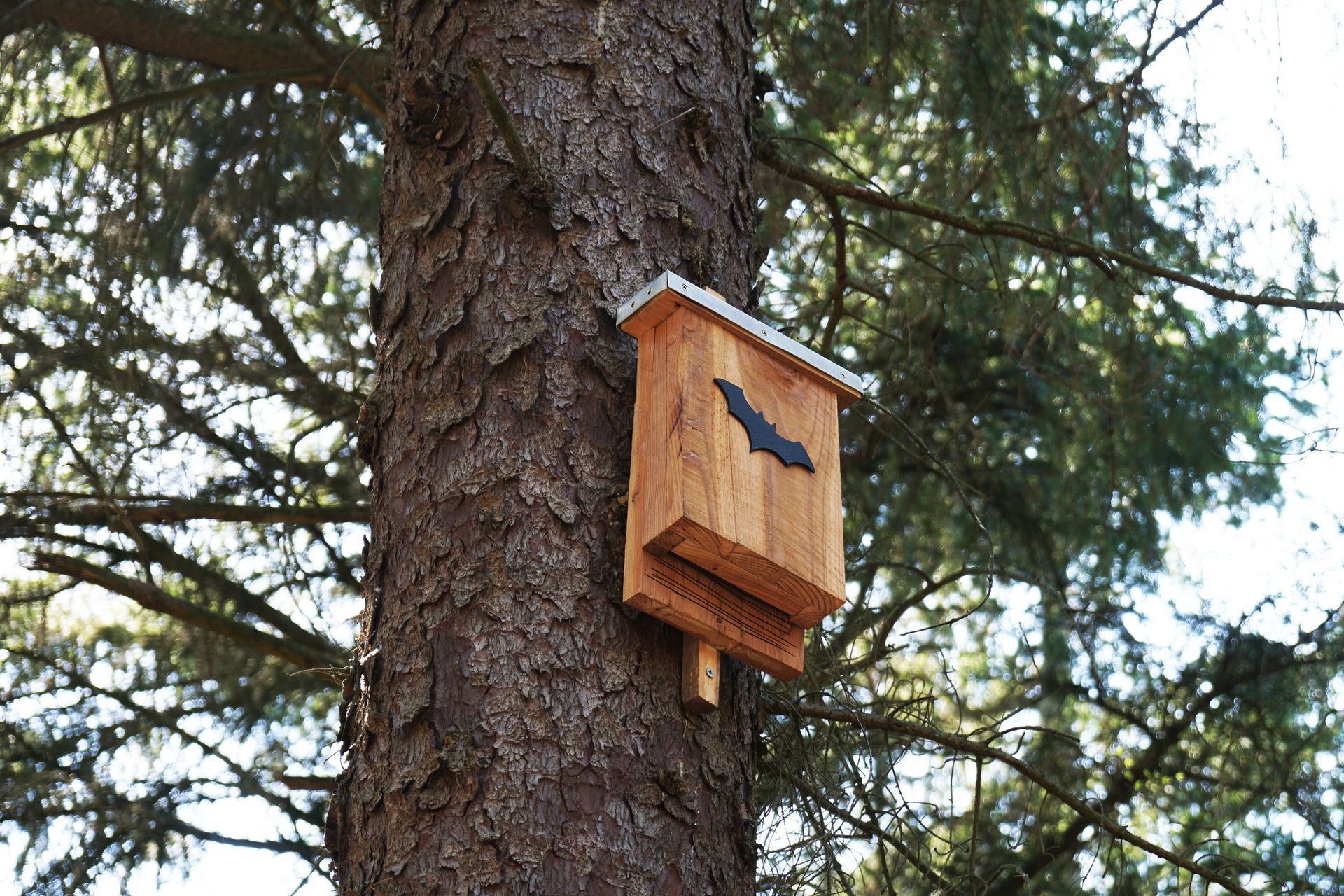 A wooden birdhouse with a bat on it is attached to a tree trunk.