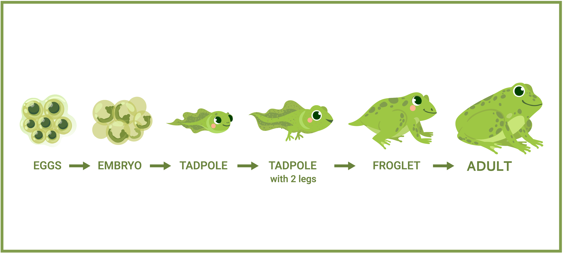 A frog 's life cycle is shown in a pixel art style.