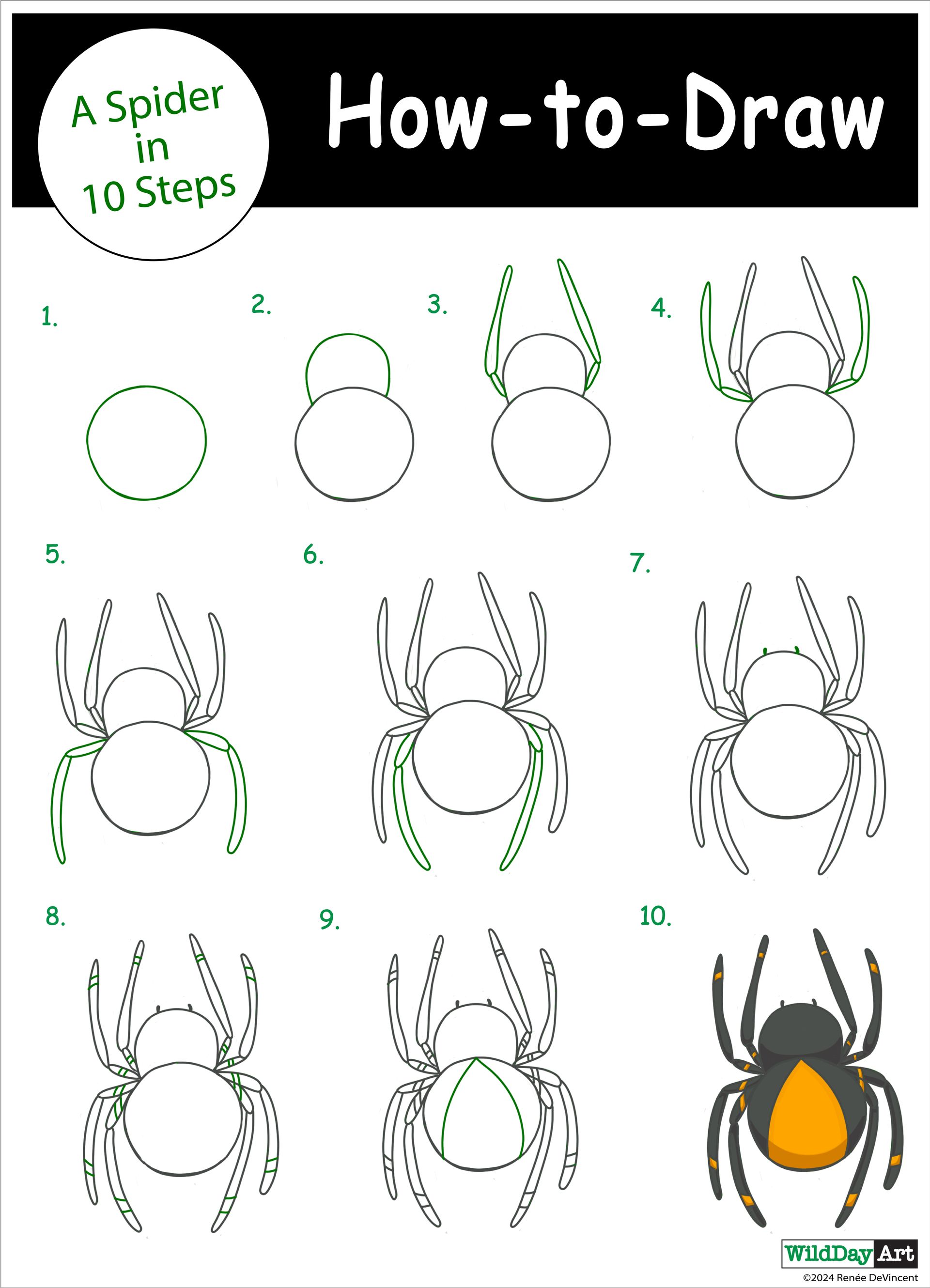 It shows how to draw a spider in 10 steps.